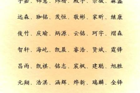 2019年6月30号丑时出生的男孩应该起什么样的名字姓名