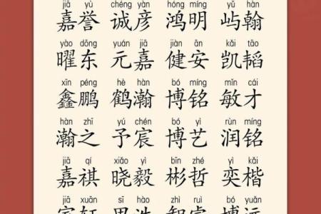 2019年3月19号酉时出生的男孩起名时要注意什么姓名