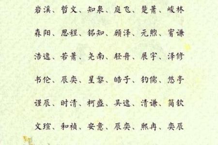 2019年3月19号子时出生的男孩如何起名姓名