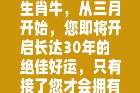 晚上12点出生的属牛男孩适合用什么字取名姓名