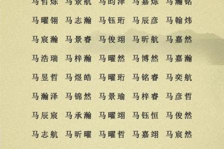 属猪巳时出生的男孩如何取名字，适合用什么字姓名