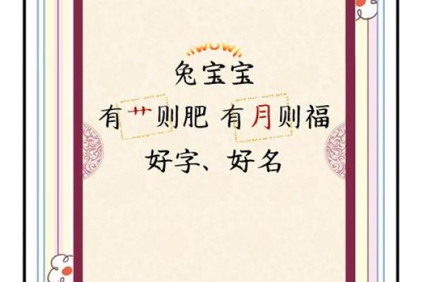 7月份出生的属兔男孩应该如何取名字姓名