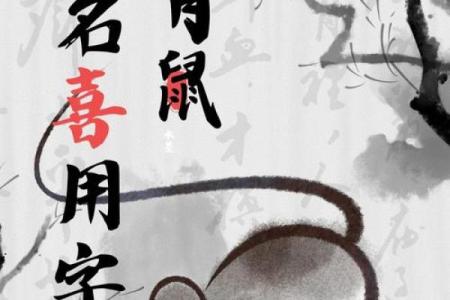 晚上8点出生的属鼠男孩的取名技巧姓名