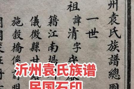 袁氏家族的字辈排行和家谱记载-姓名学-华易网姓名