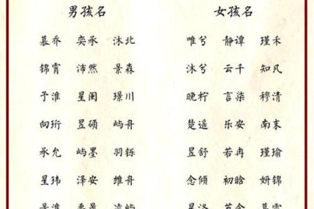 柳姓男孩名字大全-柳姓男孩起名字大全-柳姓名字大全姓名