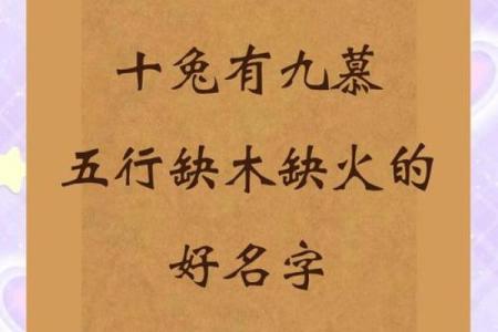 7月份出生的属兔男孩应该如何取名字姓名