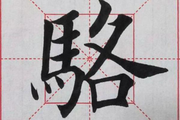 骆姓女孩名字大全-骆姓女孩起名字大全-骆姓名字大全姓名