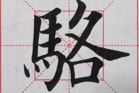 骆姓女孩名字大全-骆姓女孩起名字大全-骆姓名字大全姓名