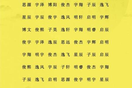 下午两点出生的属猴男孩怎么名,用什么字姓名
