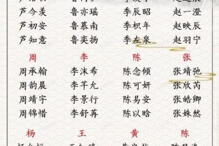 2019年3月24号亥时出生的男孩起名时要注意什么姓名