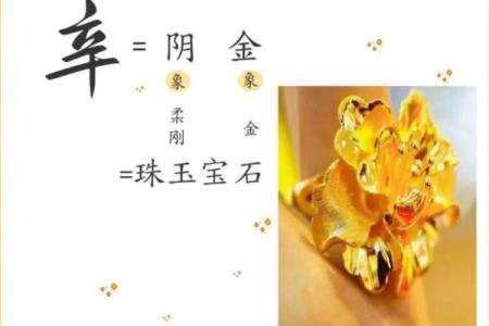 姓辛的名人-姓名学-华易算命网姓名