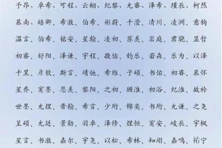 2019年4月25号寅时出生的男孩如何起名姓名