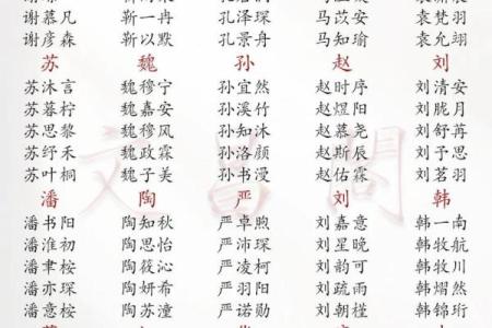 2019年6月13号卯时出生的男孩应该起什么样的名字姓名