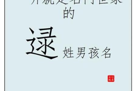 2019年5月24号子时出生的男孩起名方法姓名