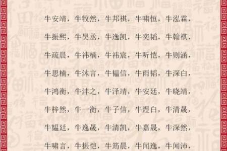 2019年3月26号辛时出生的男孩要怎么起名字姓名