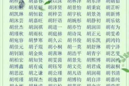 属鸡未时出生的男孩如何起名,宜用什么字姓名