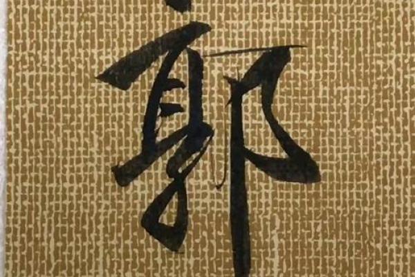 2019年出生的姓郭男孩如何起名,宜用什么字姓名 2019年出生的姓郭男孩如何起名,宜用什么字姓名