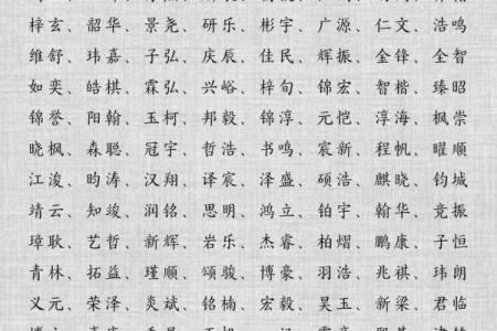 2019年6月16号子时出生的男孩要怎么起名字姓名