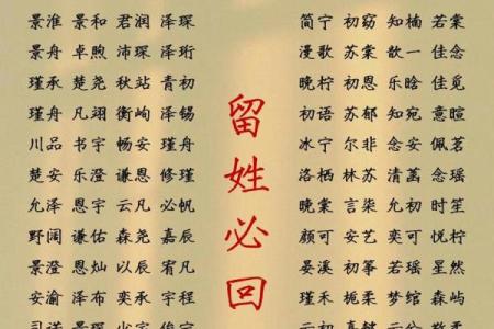 属鸡亥时出生的男孩该如何起名,宜用什么字姓名