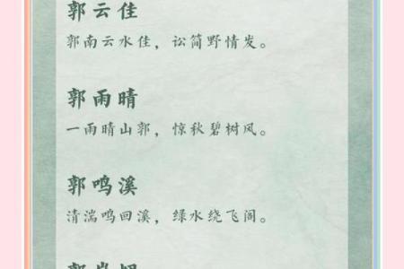 2019年出生的姓郭男孩如何起名，宜用什么字姓名