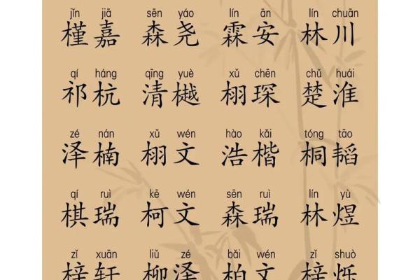 2019年6月15号寅时出生的男孩起名时要注意什么姓名 2019年6月15号寅时出生的男孩起名时要注意什么姓名