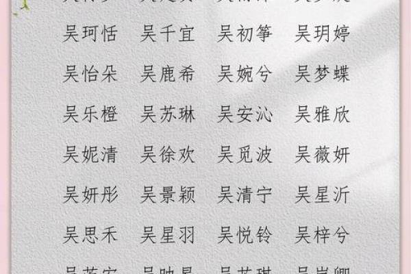 2019年出生的姓吴男孩如何起名，宜用什么字姓名