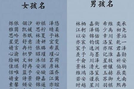 2019年6月13号寅时出生的男孩应该起什么样的名字姓名