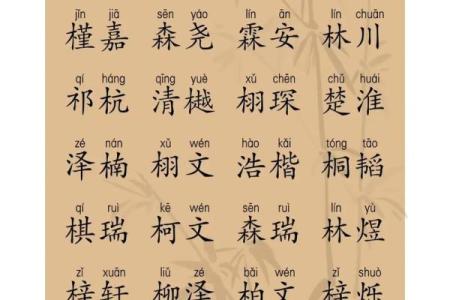 2019年6月15号寅时出生的男孩起名时要注意什么姓名