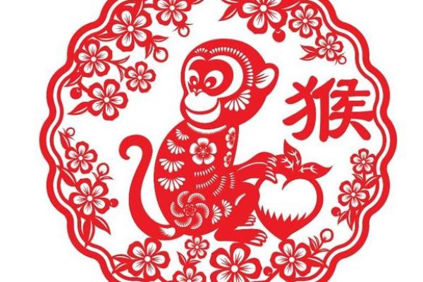 半夜出生的属猴男孩如何取名,适合什么字姓名 半夜出生的属猴男孩如何取名,适合什么字姓名