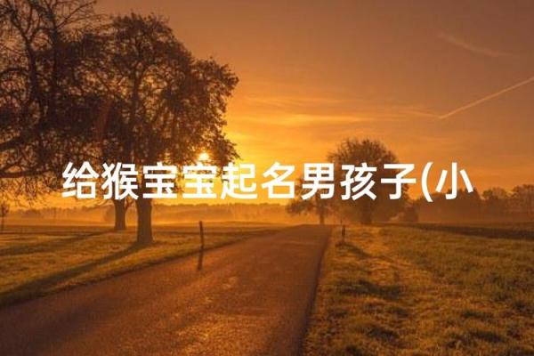 半夜出生的属猴男孩如何取名,适合什么字姓名 半夜出生的属猴男孩如何取名,适合什么字姓名